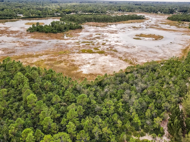 bird's eye view of a large body of water and a forest