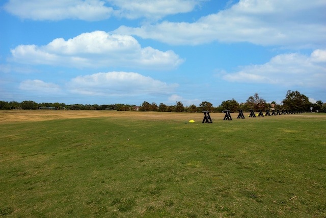 view of community featuring a yard