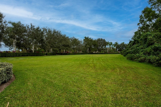 view of grassy yard