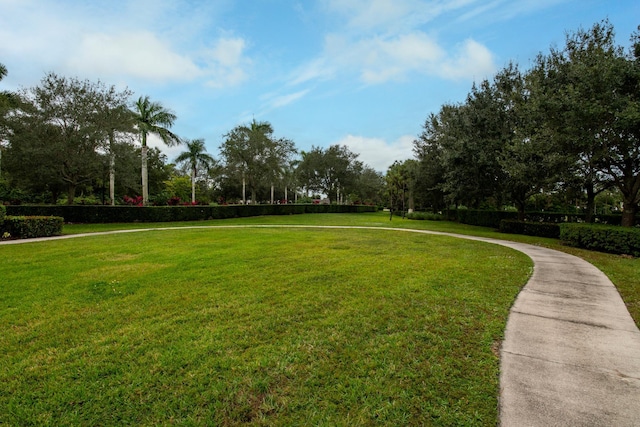 surrounding community with a lawn and view of wooded area