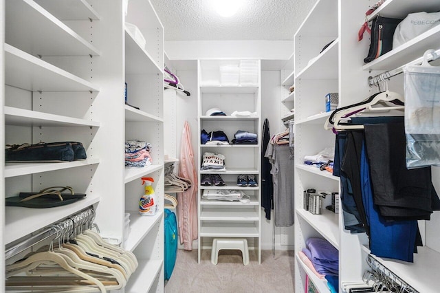 65 Eastgate Dr Unit B, Boynton Beach, FL 33436 - walk in closet with carpet floors