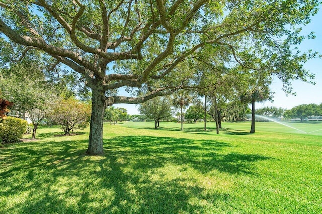 65 Eastgate Dr Unit B, Boynton Beach, FL 33436 - view of grassy yard