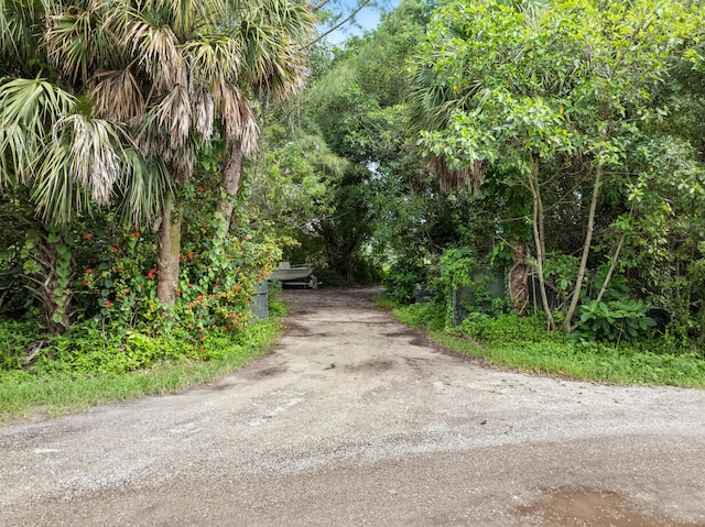 69 Armadillo Way, West Palm Beach, FL 33411 - view of road