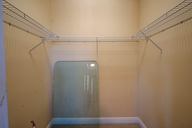 8979 Three Rail Dr, Boynton Beach, FL 33472 - view of spacious closet