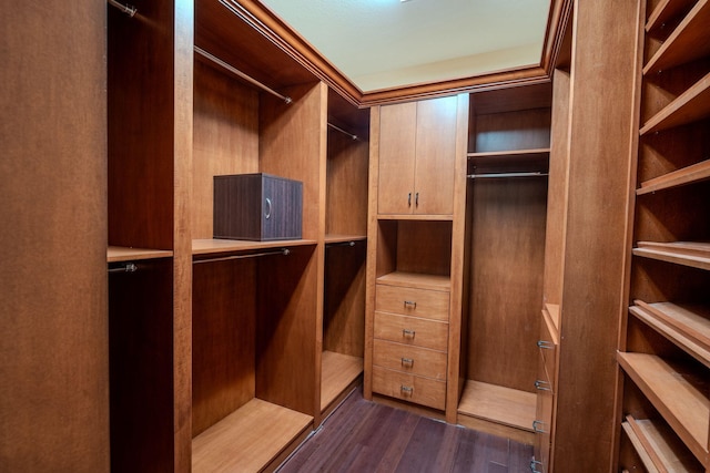 8979 Three Rail Dr, Boynton Beach, FL 33472 - spacious closet featuring dark wood-type flooring