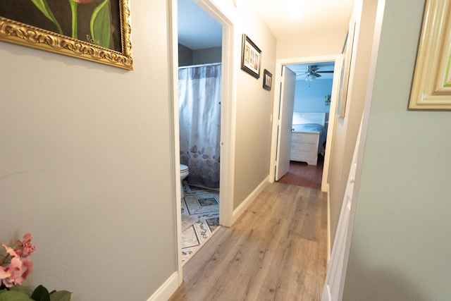 1325 Strawberry Ln, West Palm Beach, FL 33415 - hallway featuring light wood-style floors and baseboards