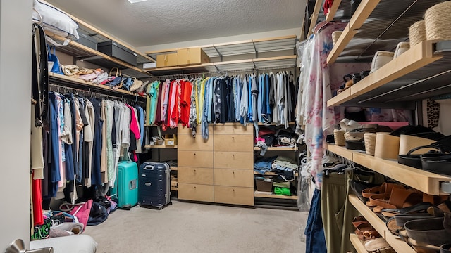 8520 Lewis River Rd, Delray Beach, FL 33446 - view of walk in closet