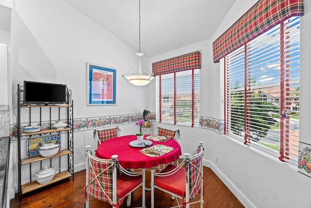 5846 NW 24th Ave Unit 202, Boca Raton, FL 33496 - dining room featuring vaulted ceiling, wood finished floors, healthy amount of natural light, a textured ceiling, and baseboards
