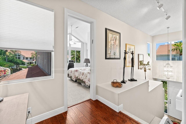 5846 NW 24th Ave Unit 202, Boca Raton, FL 33496 - hallway featuring rail lighting, plenty of natural light, dark wood-style flooring, baseboards, and a textured ceiling