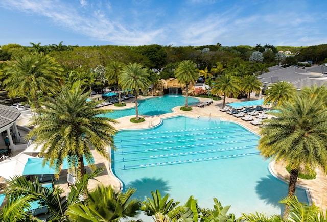 5846 NW 24th Ave Unit 202, Boca Raton, FL 33496 - community pool with a patio area and view of scattered trees