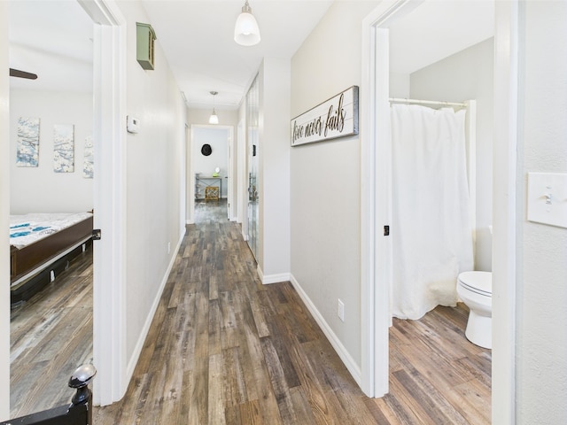 2045 SW 18th Ln, Okeechobee, FL 34974 - corridor featuring dark wood-type flooring and baseboards