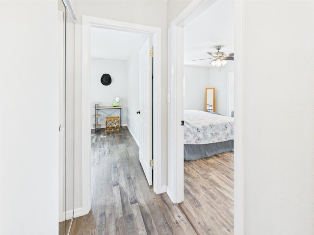 2045 SW 18th Ln, Okeechobee, FL 34974 - hallway featuring wood finished floors and baseboards