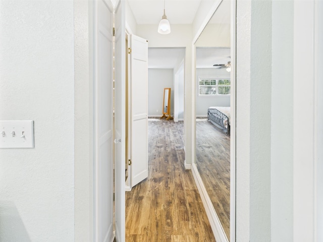 2045 SW 18th Ln, Okeechobee, FL 34974 - corridor with dark wood-style floors