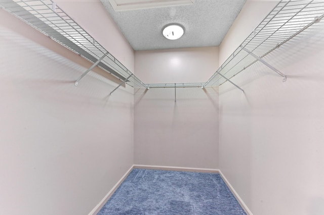 8586 Brian Blvd, Boynton Beach, FL 33472 - spacious closet featuring carpet flooring