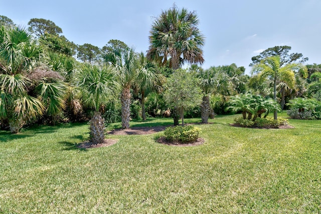 6020 Wild Olive Way, Vero Beach, FL 32966 - view of grassy yard