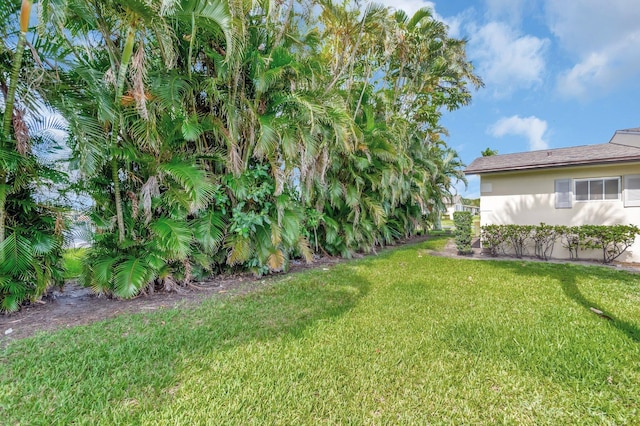 view of grassy yard