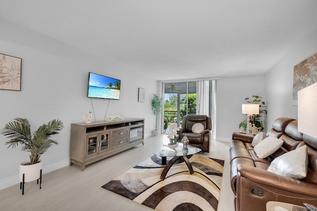 23247 Barwood Ln Unit 305, Boca Raton, FL 33428 - living room with light wood-style flooring and baseboards