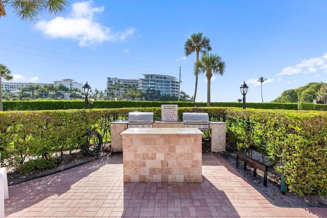 1040 Banyan Rd Unit 501C, Boca Raton, FL 33432 - view of patio