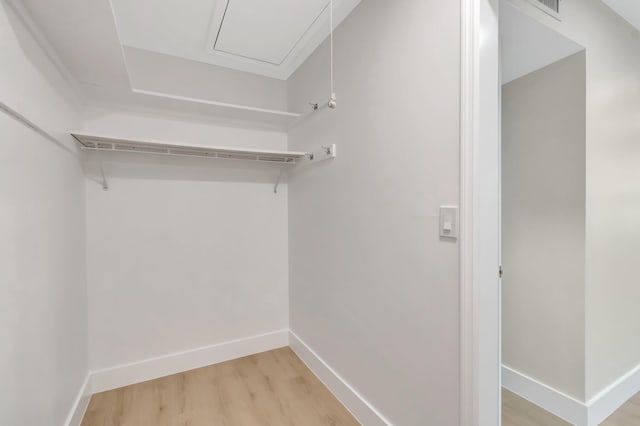 spacious closet featuring light wood-type flooring and attic access