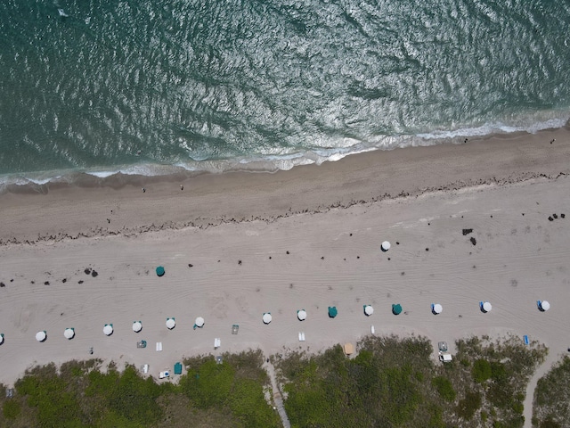 water view with local beach