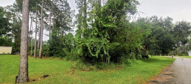 112 Ryberry Dr, Palm Coast, FL 32164