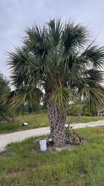 15270 NW 252nd St, Okeechobee, FL 34972