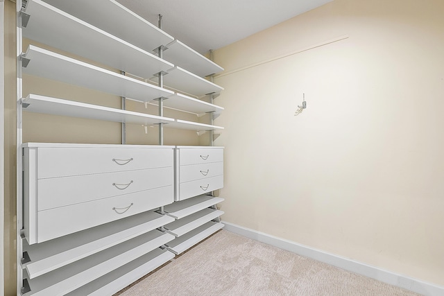 230 Ocean Grande Blvd Unit 501, Jupiter, FL 33477 - spacious closet with pet washing station and carpet floors