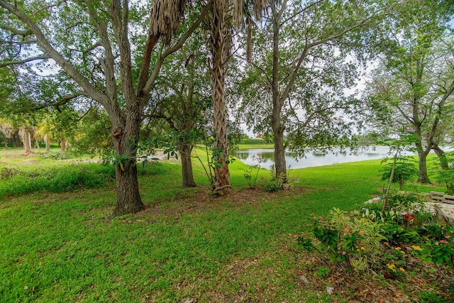 3185 Laurel Ridge Cir, Riviera Beach, FL 33404 - view of grassy yard featuring a water view