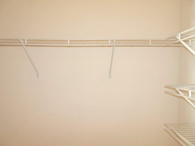 5927 Riverside Ave, Tamarac, FL 33321 - view of walk in closet