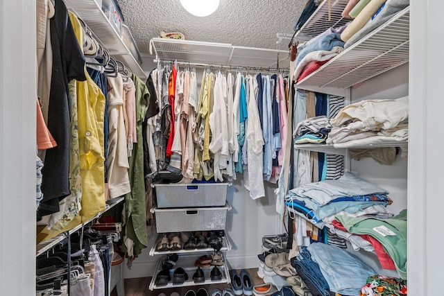 17166 Waterbend Dr Unit 210, Jupiter, FL 33477 - view of walk in closet