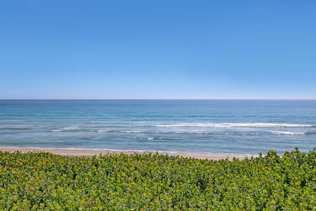 7430 S Ocean Dr Unit 319, Jensen Beach, FL 34957 - water view with nearby beach