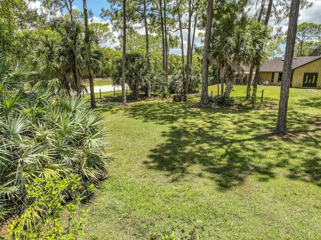11033 67th Pl N, The Acreage, FL 33412 - view of grassy yard