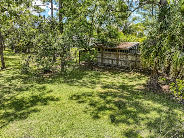 11033 67th Pl N, The Acreage, FL 33412 - view of yard