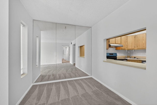 1104 Green Pine Blvd Unit D2, West Palm Beach, FL 33409 - unfurnished dining area with carpet floors and a textured ceiling