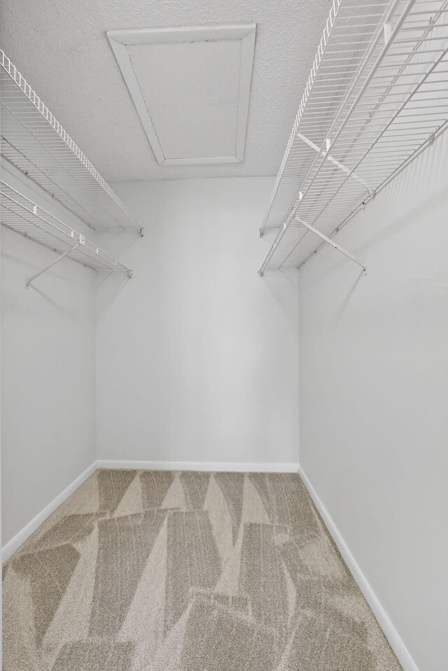 1104 Green Pine Blvd Unit D2, West Palm Beach, FL 33409 - walk in closet featuring carpet