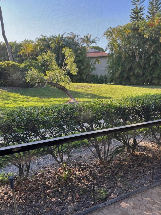 view of yard