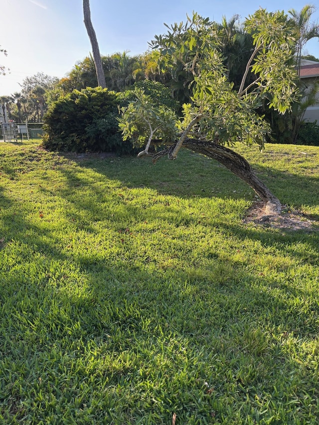 view of grassy yard