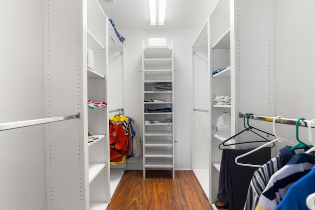 1056 SW Balmoral Trce, Stuart, FL 34997 - walk in closet with wood finished floors