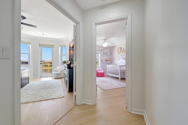 9800 Stover Way, Wellington, FL 33414 - corridor featuring light wood-type flooring and baseboards