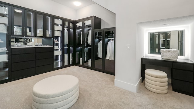 13206 Faberge Pl, Palm Beach Gardens, FL 33418 - spacious closet with carpet