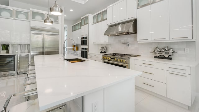 13206 Faberge Pl, Palm Beach Gardens, FL 33418 - kitchen featuring under cabinet range hood, stainless steel appliances, a sink, modern cabinets, and recessed lighting