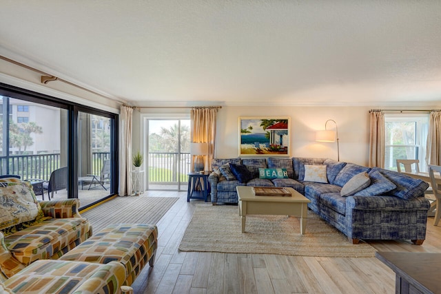 2641 NE Ocean Blvd Unit 106, Stuart, FL 34996 - living room featuring light wood-style floors and plenty of natural light