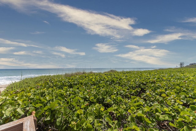 2641 NE Ocean Blvd Unit 106, Stuart, FL 34996 - water view with nearby beach