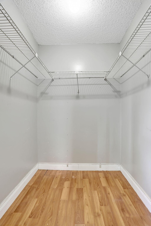 9062 NW 20th Mnr, Coral Springs, FL 33071 - walk in closet with light wood-style floors