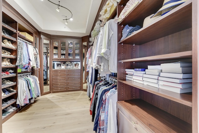 5050 N Ocean Dr Unit 1701, Singer Island, FL 33404 - walk in closet with light wood-type flooring and a raised ceiling