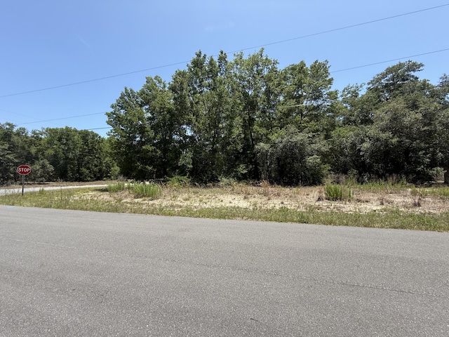 11064 N Academy Dr, Citrus Springs, FL 34434
