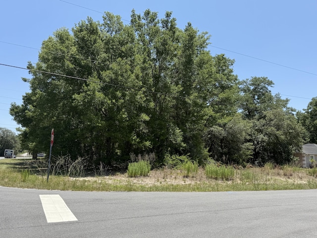 11064 N Academy Dr, Citrus Springs, FL 34434