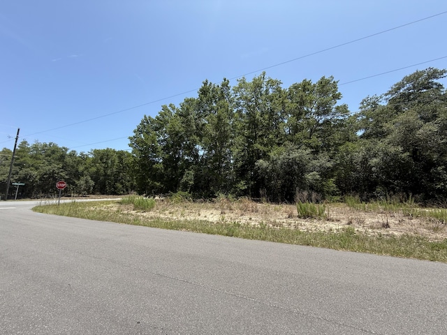 11064 N Academy Dr, Citrus Springs, FL 34434
