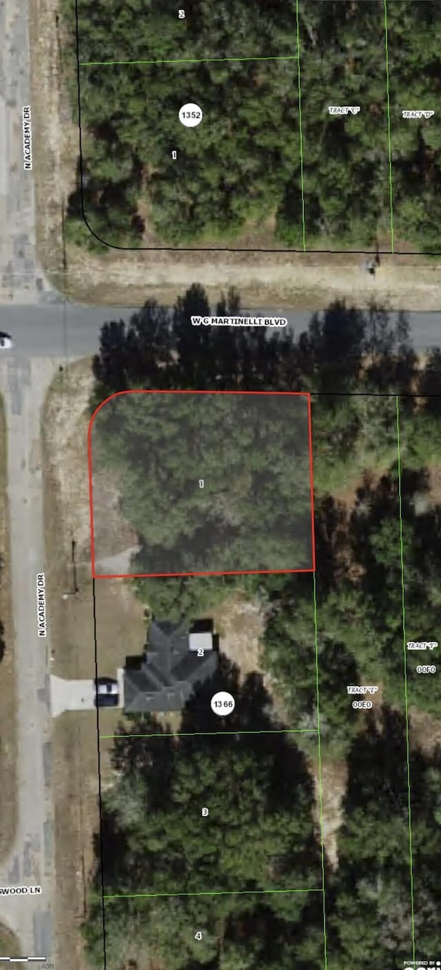 11064 N Academy Dr, Citrus Springs, FL 34434