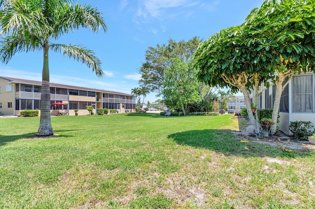 229 Chatham K, West Palm Beach, FL 33417 - view of green lawn